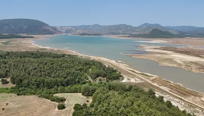 İzmir'de Tehlike Çanları: Kayıp Yüzde 50 ile Göze Çarpıyor!