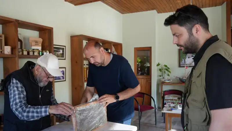 Doktor Tavsiyesiyle Dikkatli Tüketilmesi Gereken Şifalı ve Tehlikeli Besin