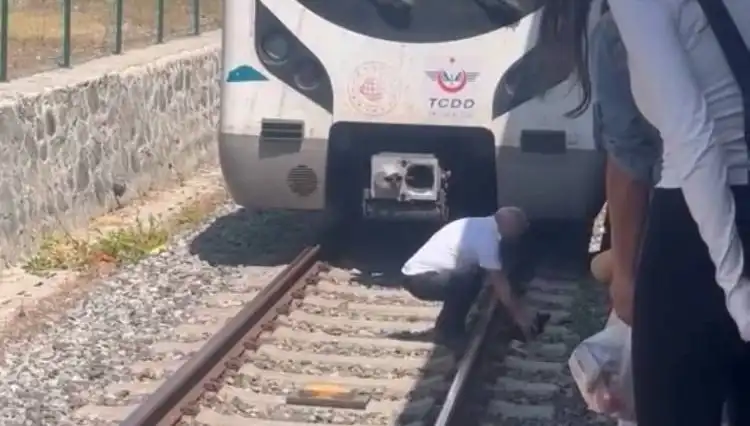 Marmaray'da Bir Kedi Hayatı Kurtardı: Makinistin Duyarlı Davranışı