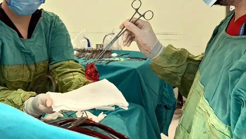 Kalp Kapağı Çürümüştü, 7 Saatlik Ameliyatla Hayata Döndü