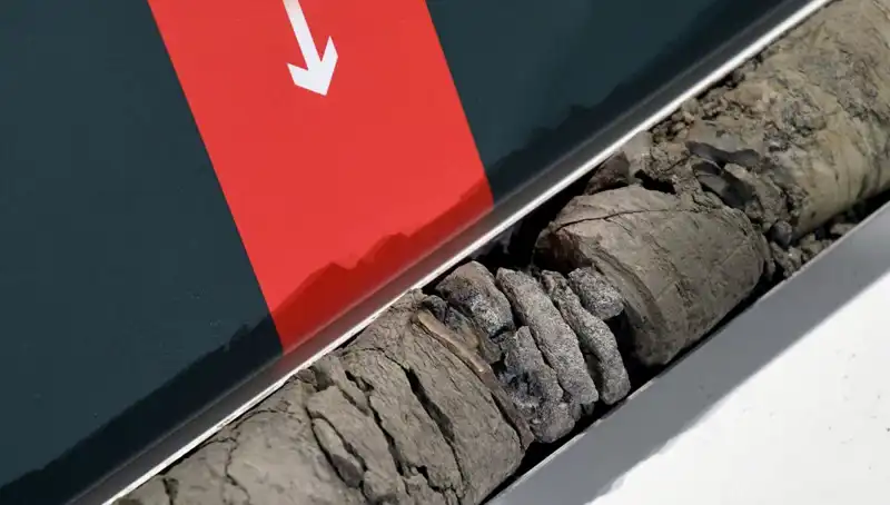 Müze Otoparkında Bulunan Dinozor Fosili Şehirde Heyecan Yarattı