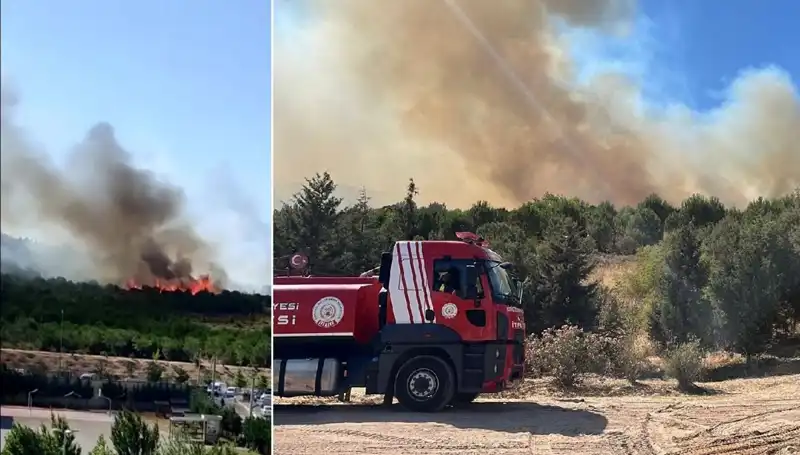 Gebze’deki Orman Yangını: Doğa ve İnsan Sağlığı İçin Tehlikeli Anlar