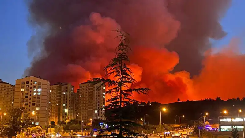 Bursa'da Yangın Alarmları: Şehir Dumanla Kaplandı!