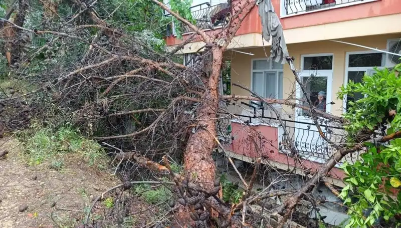 Yağışlar Sonrası Artçı Sarsıntılar: Bina Fiaskosu Yaşandı