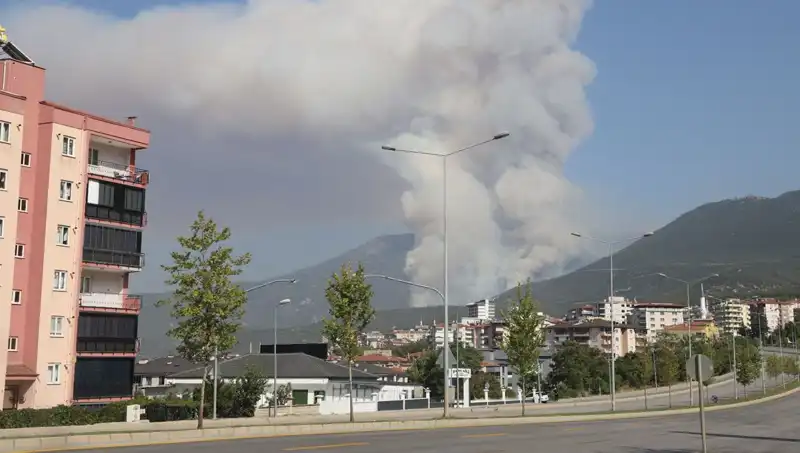 Denizli'de Orman Yangını Patladı: Şüpheli Gözaltına Alındı